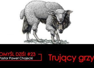 Pomyśl dziś #23 Trujący grzyb! #IPPTV #Megakosciol #pomysldzis